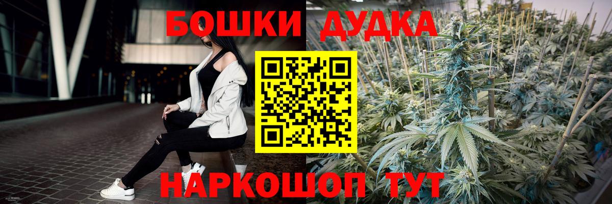 Каннабис OG Kush Вязьма
